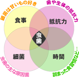 改めて虫歯のはなし　北浦和　よしはら歯科クリニック